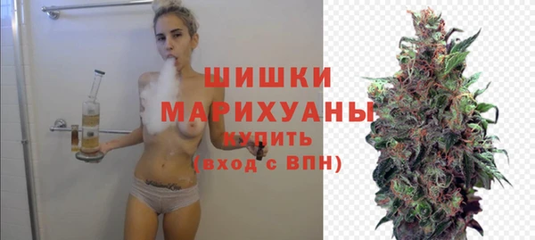 МДПВ Тайга