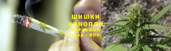 молекула духа Беломорск