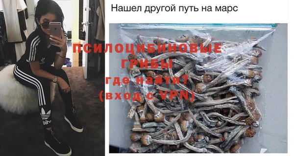 молекула духа Беломорск