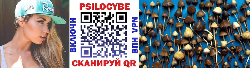 Галлюциногенные грибы прущие грибы Гатчина