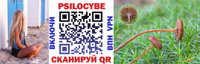 Галлюциногенные грибы мицелий  закладка  Гатчина 