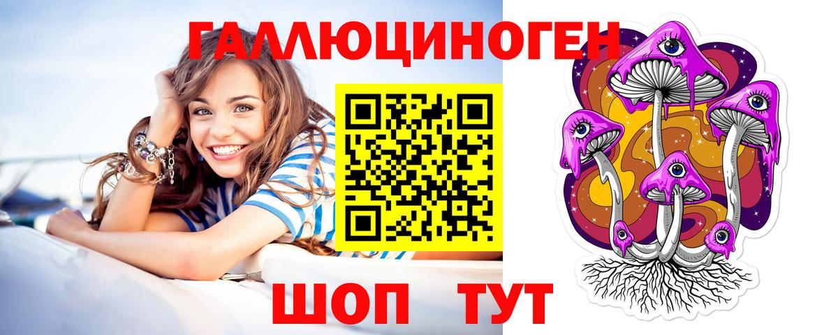 Псилоцибиновые грибы Cubensis  Вход с VPN  Гатчина 