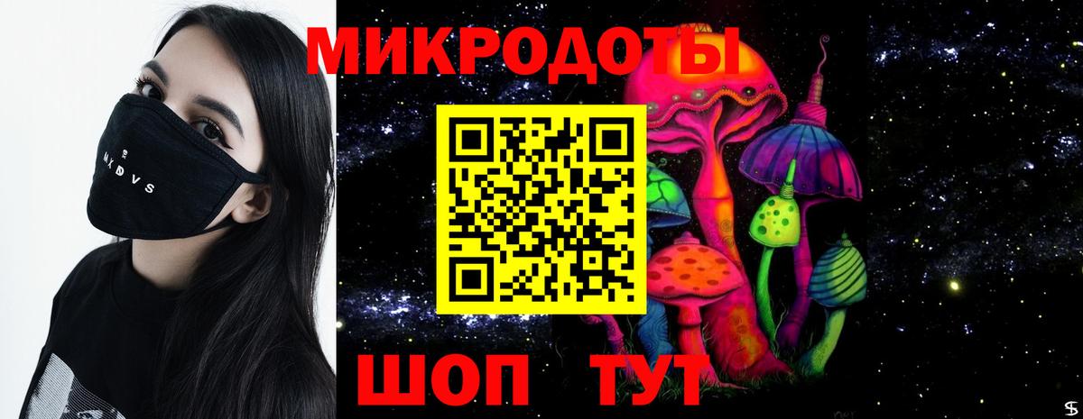 Галлюциногенные грибы Cubensis  Гатчина 