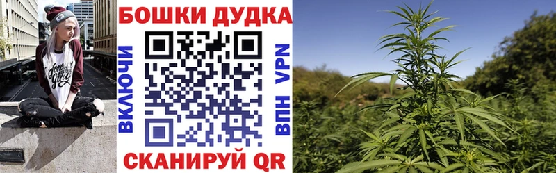 Марихуана планчик Гатчина